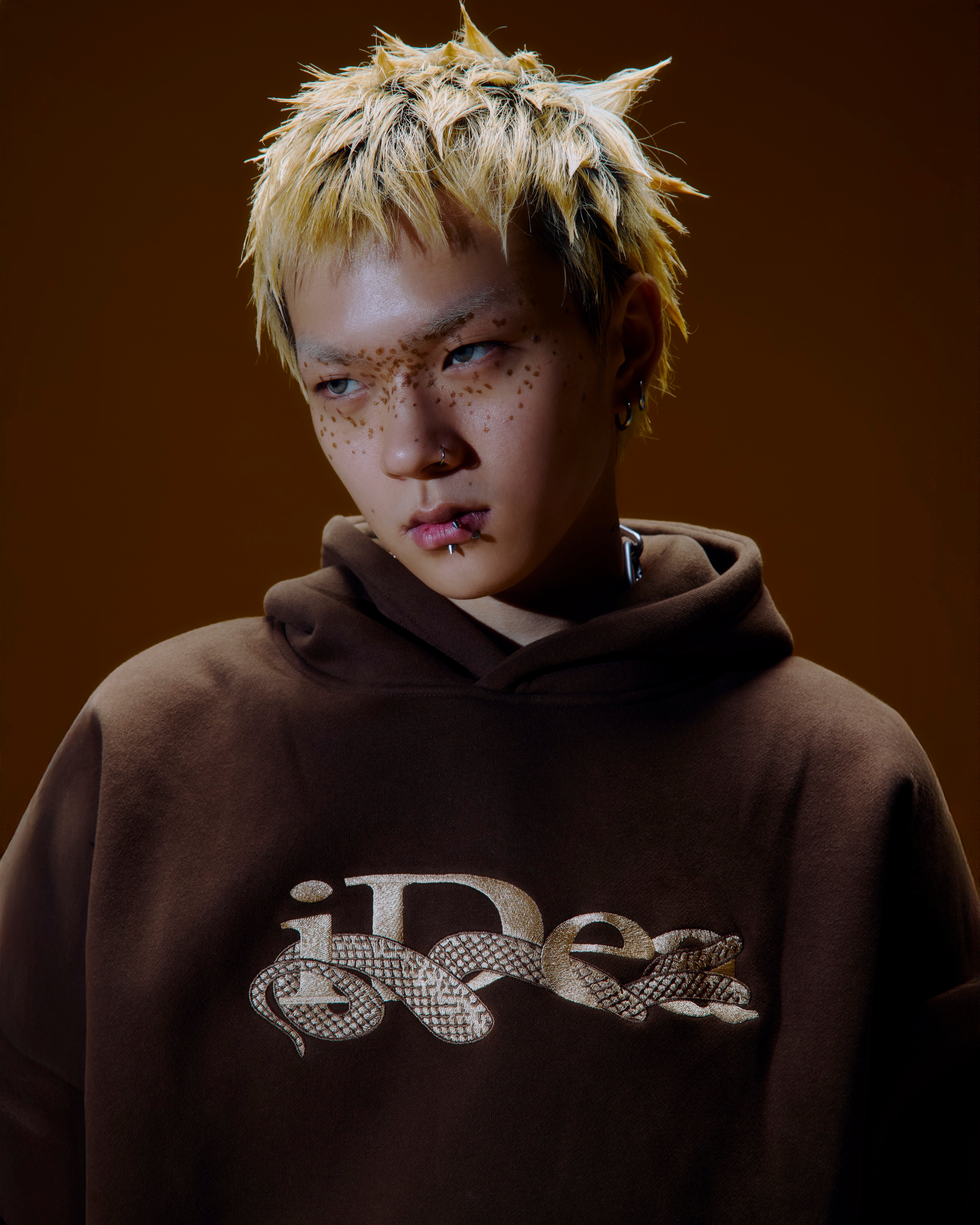 OUROBOROS HOODIE (Brown) – IDEASWAM