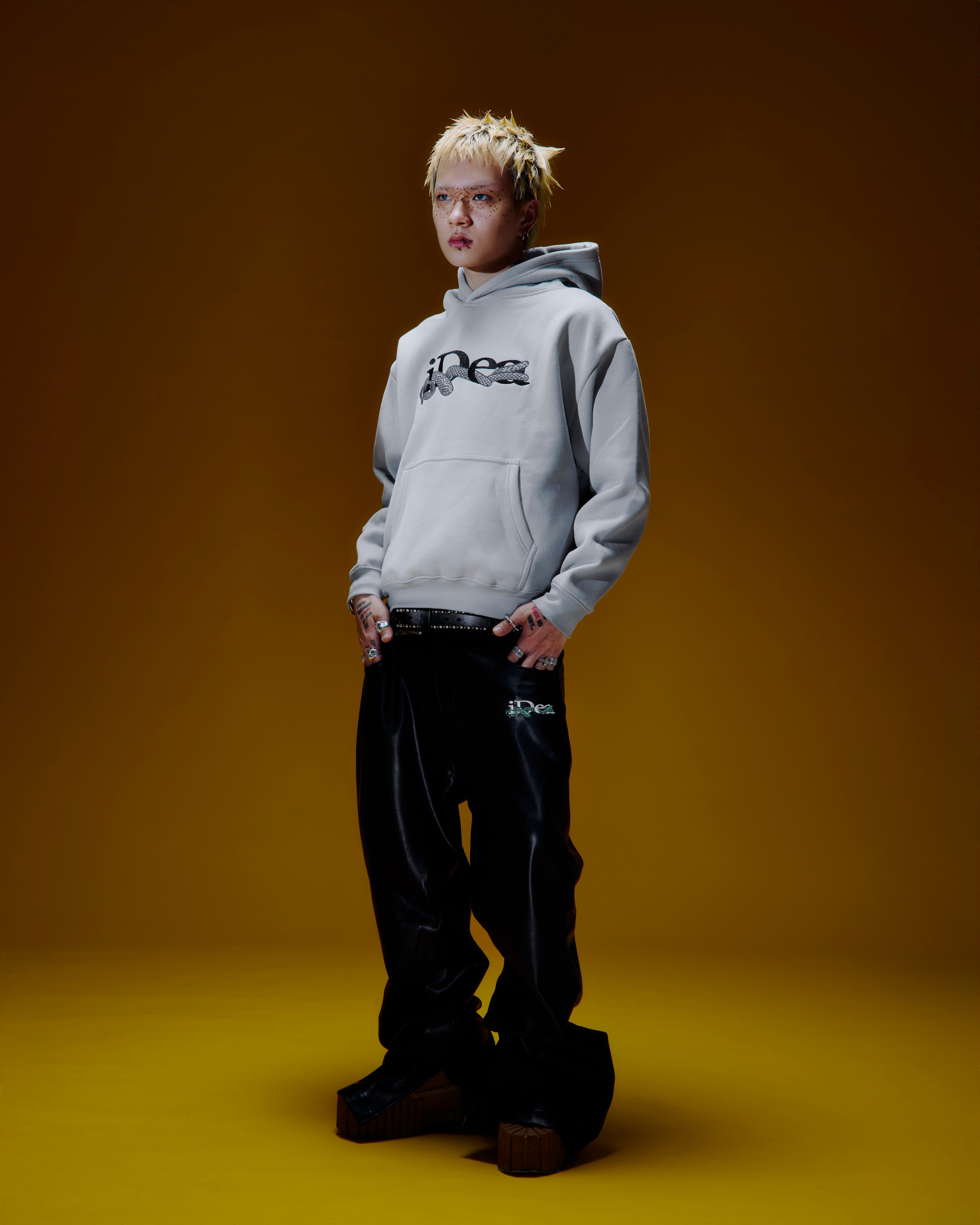 OUROBOROS HOODIE (Grey) – IDEASWAM