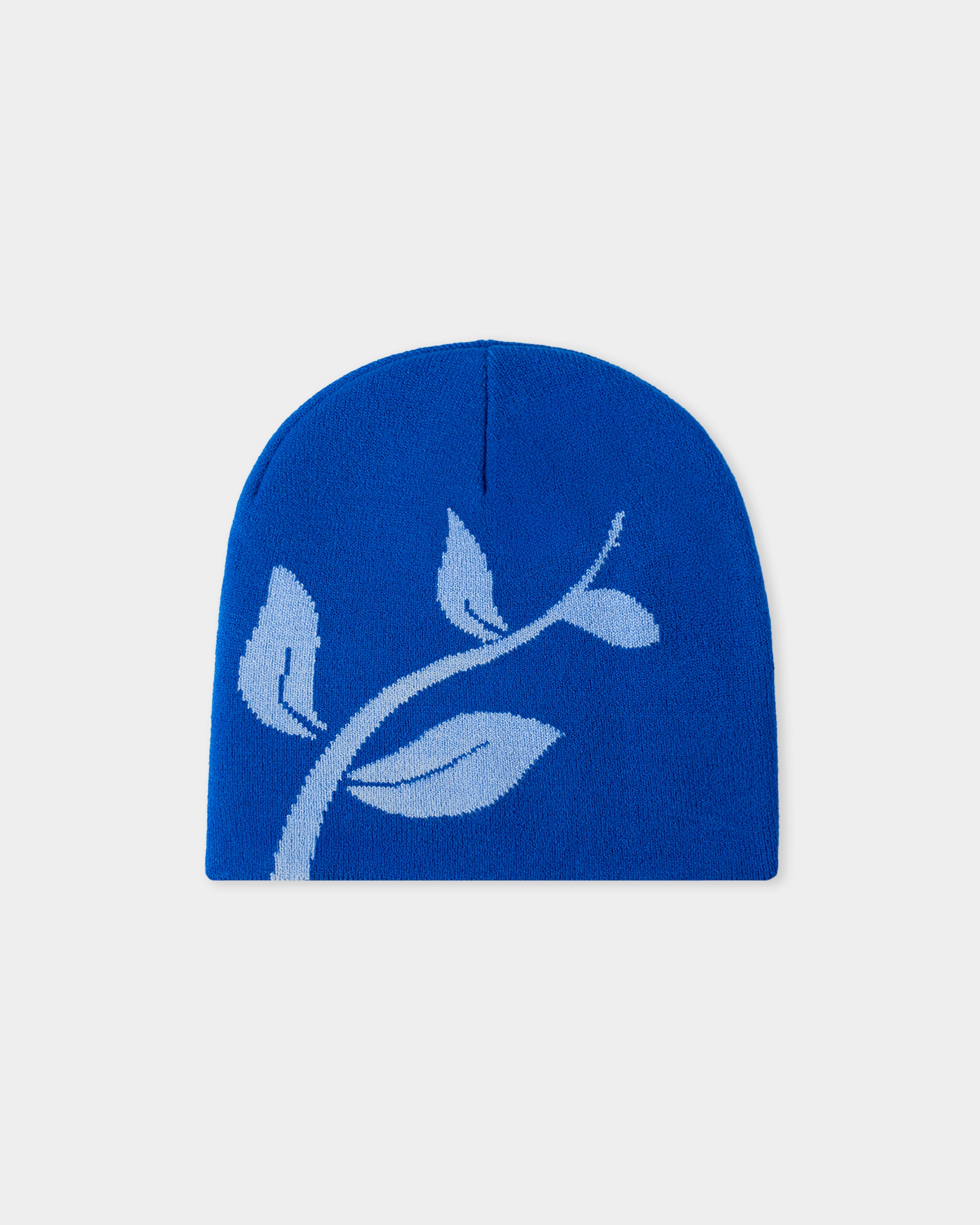 Birth Of idea Beanie (Blue) – IDEASWAM